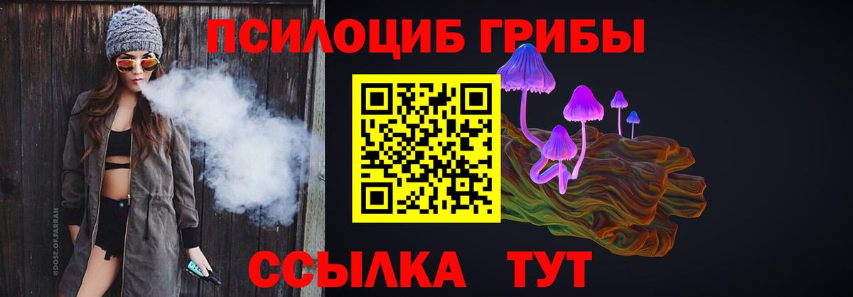 Галлюциногенные грибы Cubensis Омск