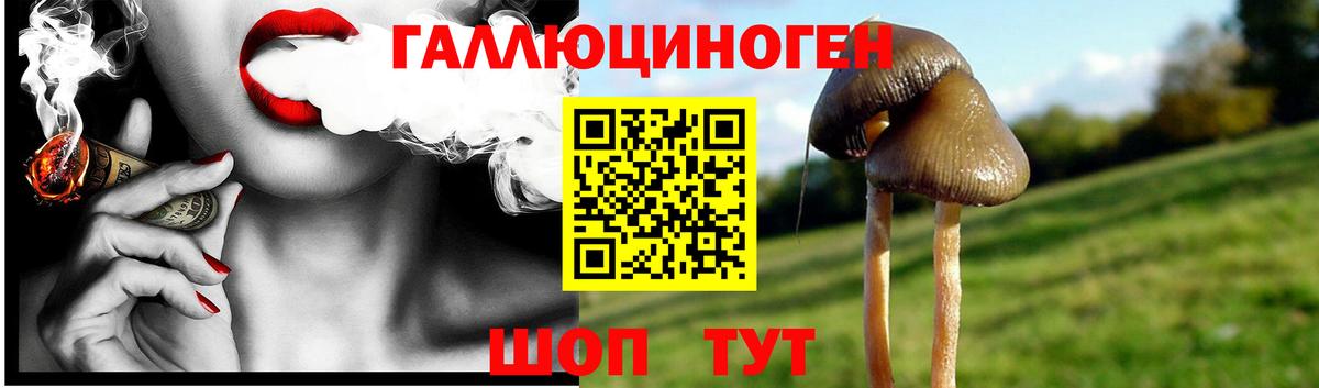 КОКАИН  Бошки Шишки  MDMA  Гашиш  Омск  МЕФ кристаллы  Гашиш  Вход с VPN  A-PVP СК кристаллы  ТГК 